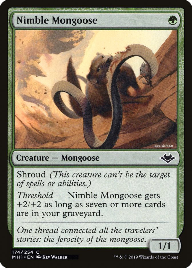 Nimble Mongoose [Modern Horizons] | Exor Games Summserside