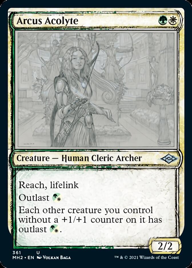 Arcus Acolyte (Sketch) [Modern Horizons 2] | Exor Games Summserside