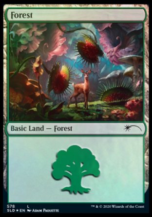 Forest (Predatory) (578) [Secret Lair Drop Promos] | Exor Games Summserside