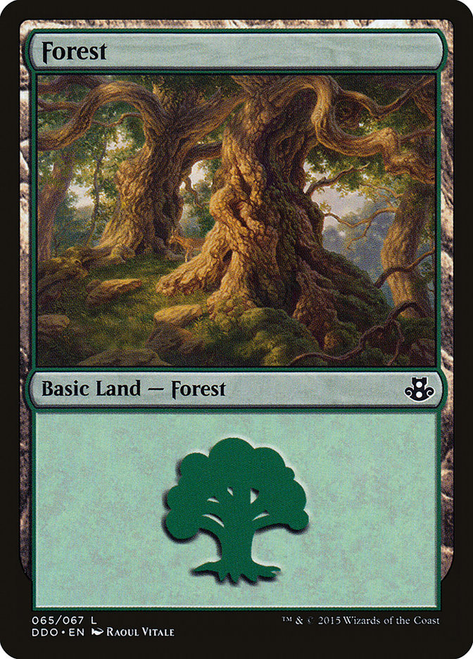 Forest (65) [Duel Decks: Elspeth vs. Kiora] | Exor Games Summserside