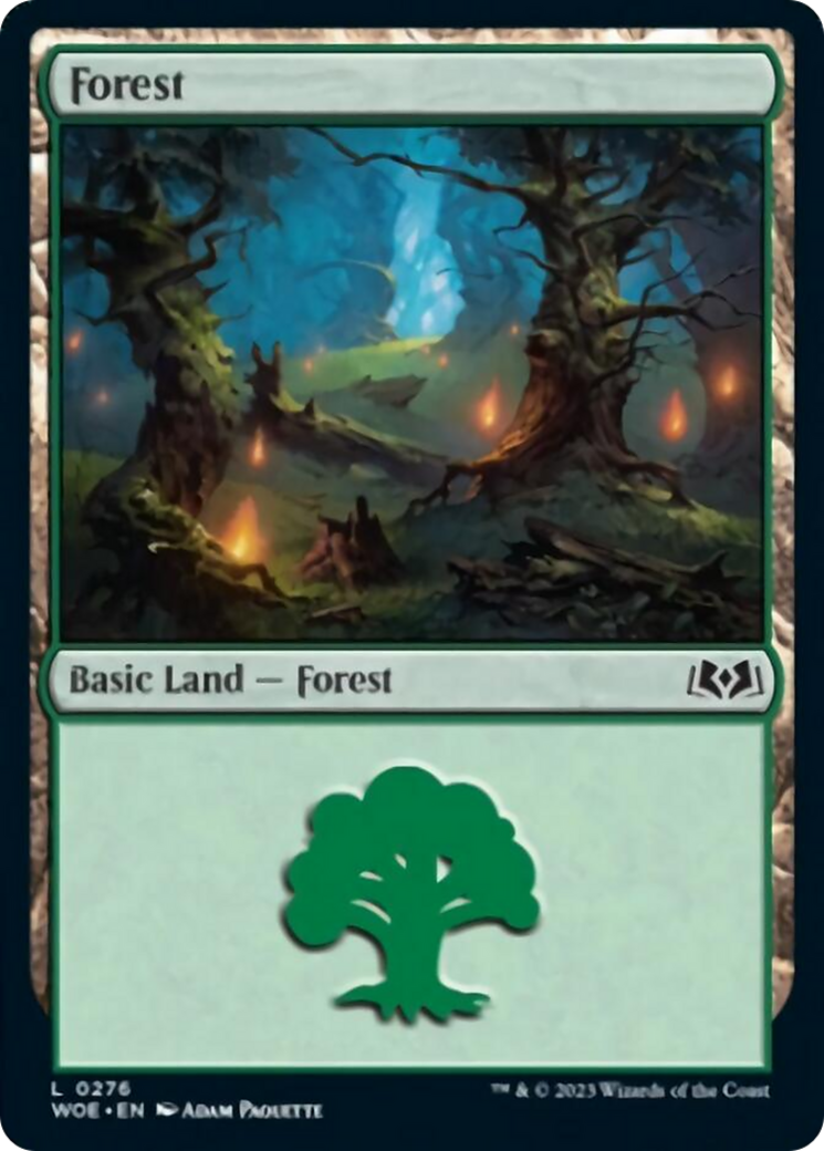 Forest (0276) [Wilds of Eldraine] | Exor Games Summserside