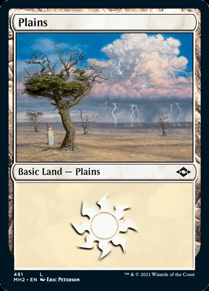 Plains (481) (Foil Etched) [Modern Horizons 2] | Exor Games Summserside