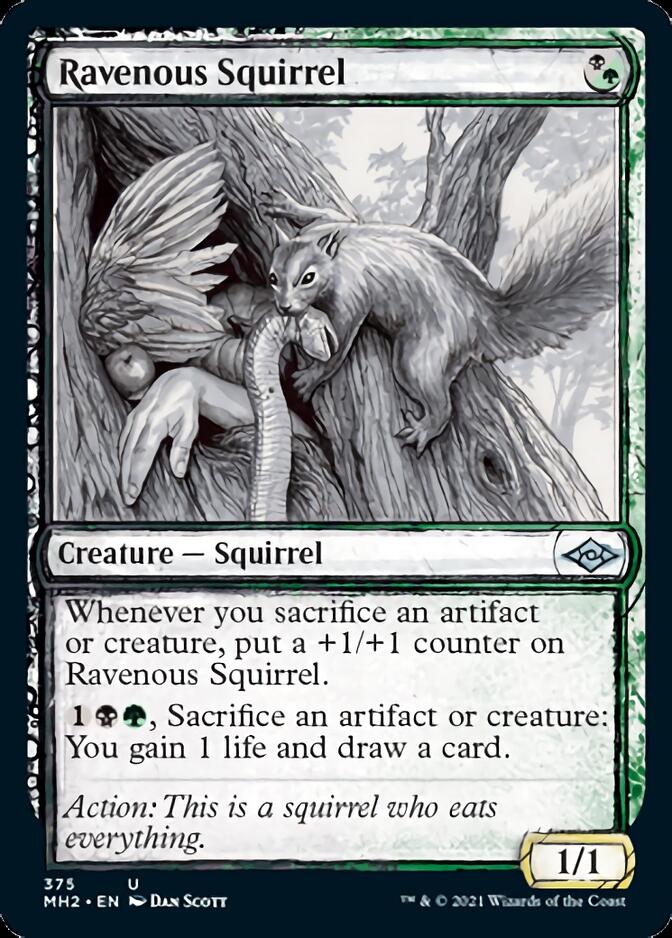Ravenous Squirrel (Sketch) [Modern Horizons 2] | Exor Games Summserside