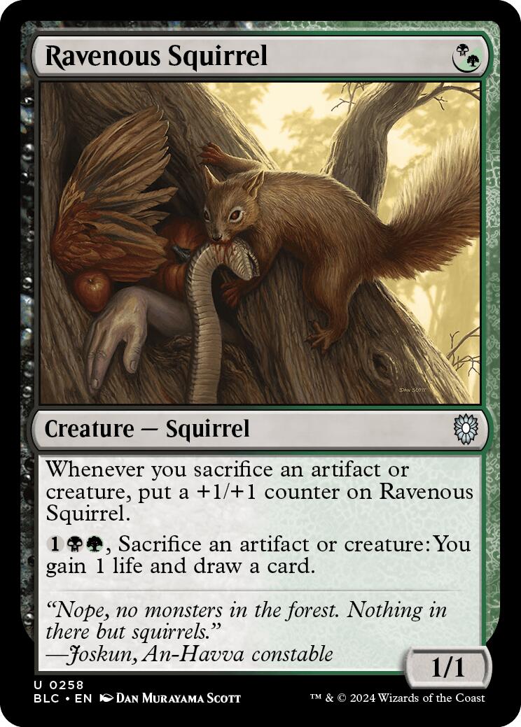 Ravenous Squirrel [Bloomburrow Commander] | Exor Games Summserside