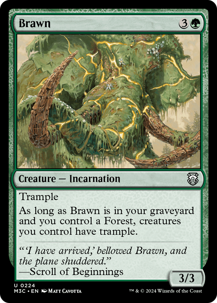 Brawn [Modern Horizons 3 Commander] | Exor Games Summserside