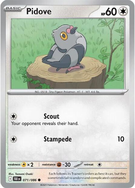 Pidove (071/086) [Scarlet & Violet: Black Bolt] | Exor Games Summserside