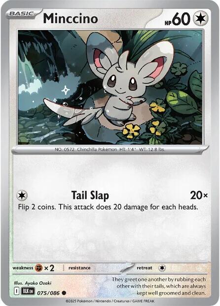 Minccino (075/086) [Scarlet & Violet: Black Bolt] | Exor Games Summserside
