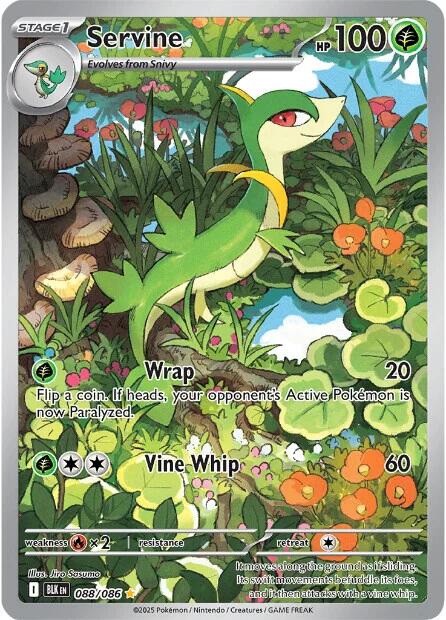 Servine (088/086) [Scarlet & Violet: Black Bolt] | Exor Games Summserside