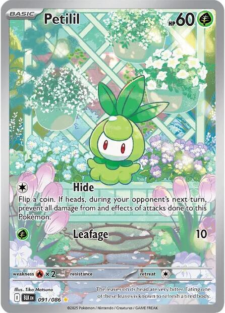 Petilil (091/086) [Scarlet & Violet: Black Bolt] | Exor Games Summserside