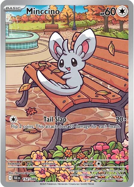 Minccino (152/086) [Scarlet & Violet: Black Bolt] | Exor Games Summserside