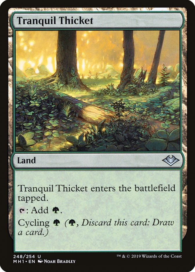 Tranquil Thicket [Modern Horizons] | Exor Games Summserside