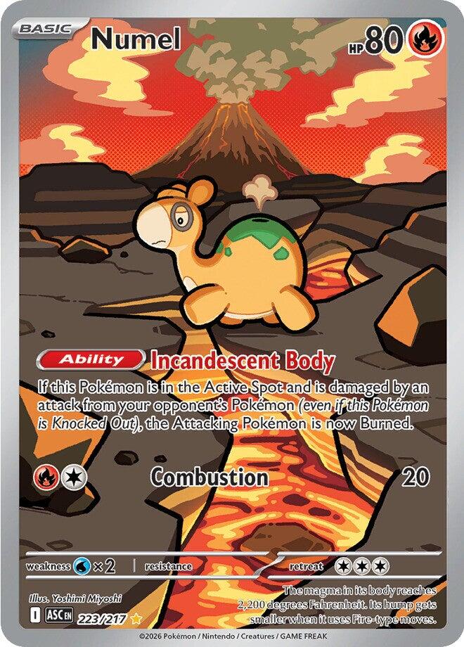 Numel (223/217) [Mega Evolution: Ascended Heroes] | Exor Games Summserside