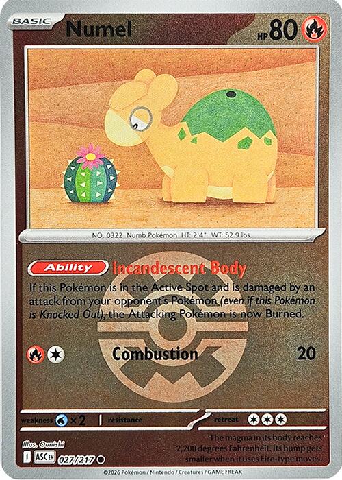 Numel (027/217) (Quick Ball) [Mega Evolution: Ascended Heroes] | Exor Games Summserside