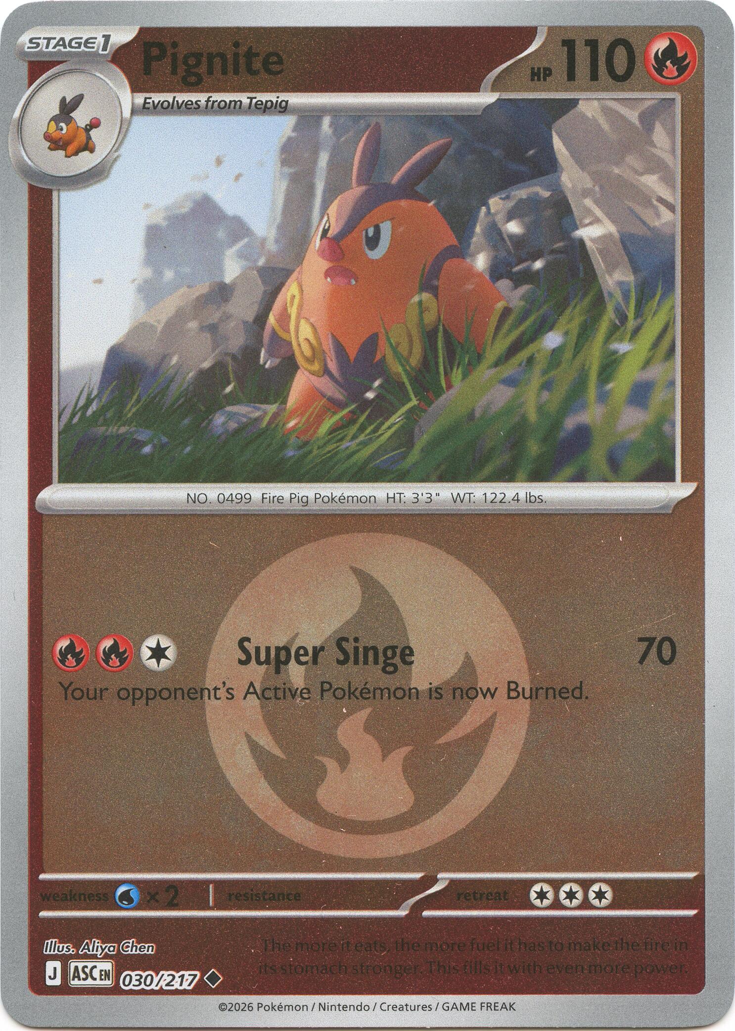 Pignite (030/217) (Energy Symbol Pattern) [Mega Evolution: Ascended Heroes] | Exor Games Summserside