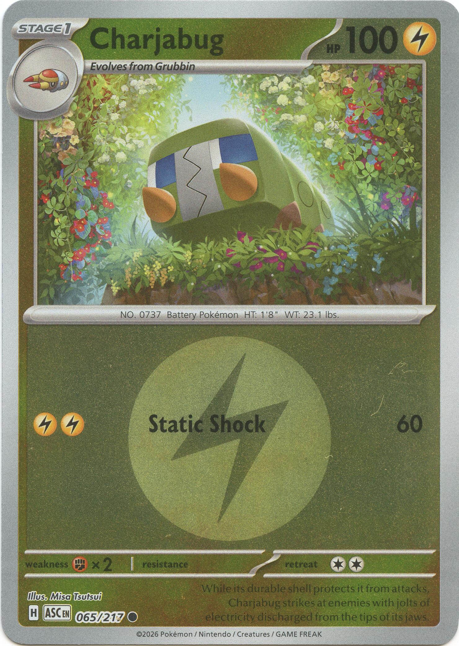 Charjabug (065/217) (Energy Symbol Pattern) [Mega Evolution: Ascended Heroes] | Exor Games Summserside