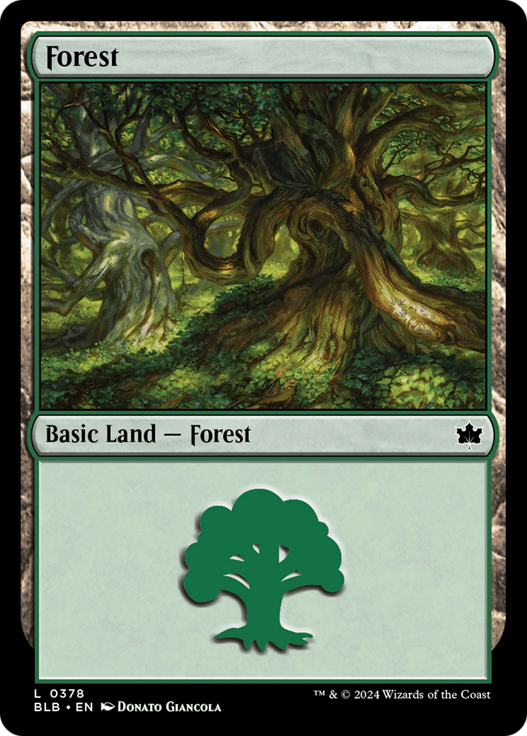 Forest (0378) [Bloomburrow] | Exor Games Summserside