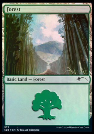 Forest (Walls) (577) [Secret Lair Drop Promos] | Exor Games Summserside