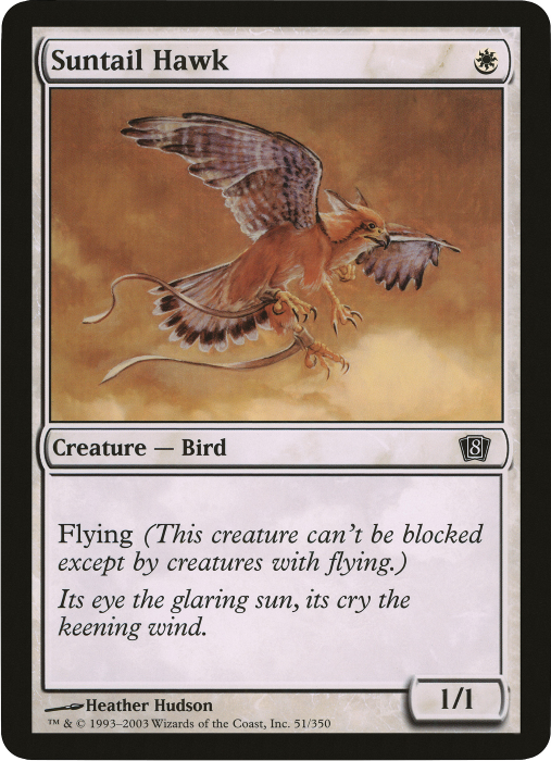 Suntail Hawk (Oversized) [Eighth Edition Box Topper] | Exor Games Summserside