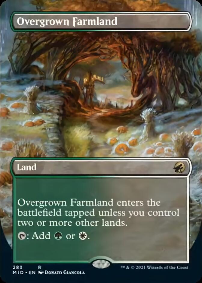 Overgrown Farmland (Borderless Alternate Art) [Innistrad: Midnight Hunt] | Exor Games Summserside