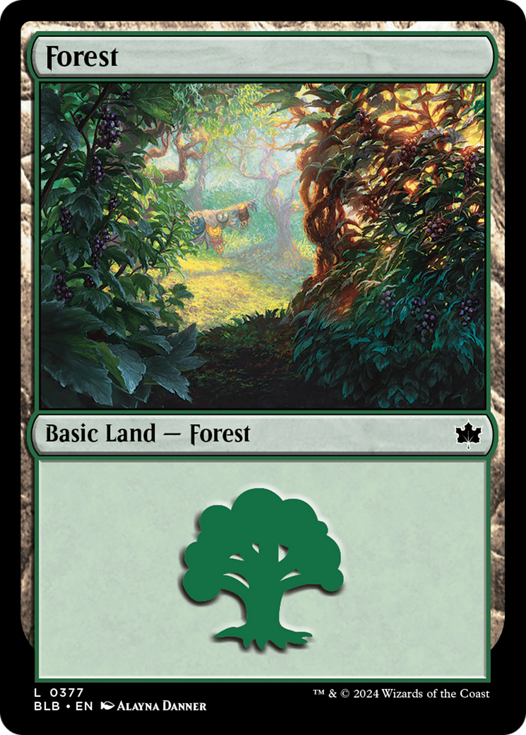 Forest (0377) [Bloomburrow] | Exor Games Summserside