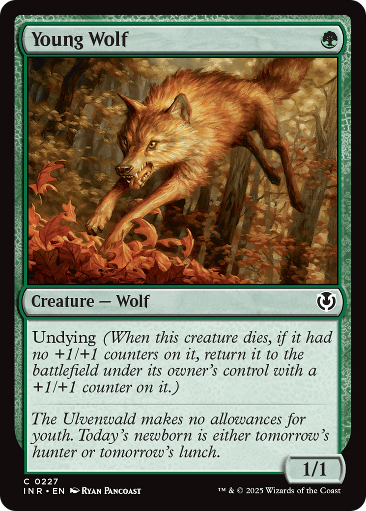 Young Wolf [Innistrad Remastered] | Exor Games Summserside