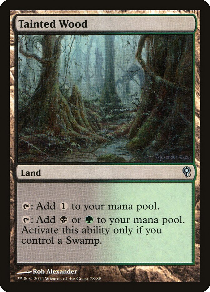 Tainted Wood [Duel Decks: Jace vs. Vraska] | Exor Games Summserside