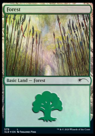 Forest (Elves) (579) [Secret Lair Drop Promos] | Exor Games Summserside