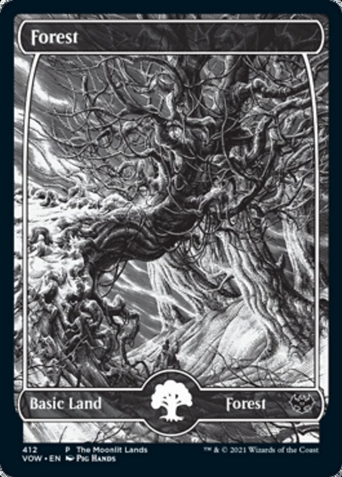 Forest (The Moonlit Lands) (Foil Etched) [Innistrad: Crimson Vow Promos] | Exor Games Summserside