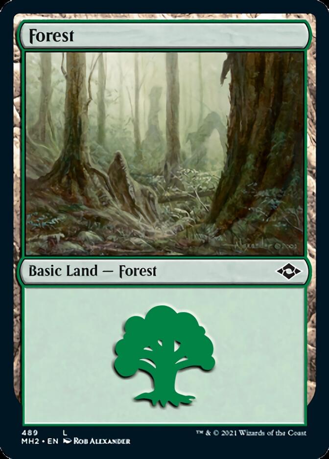 Forest (489) (Foil Etched) [Modern Horizons 2] | Exor Games Summserside