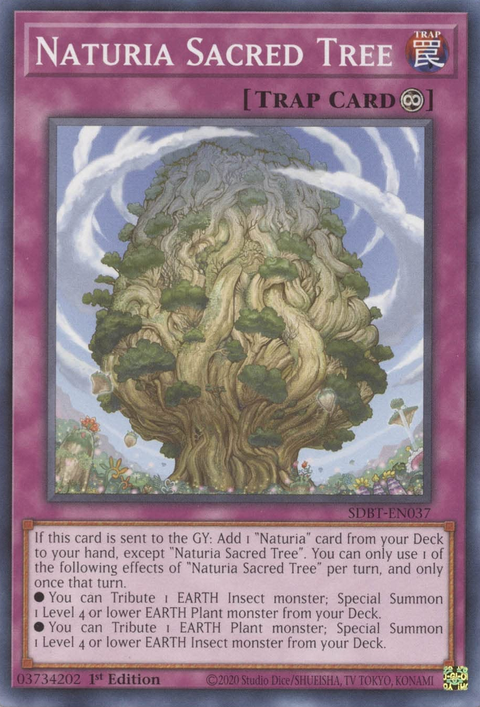 Naturia Sacred Tree [SDBT-EN037] Common | Exor Games Summserside