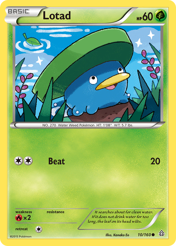 Lotad (10/160) [XY: Primal Clash] | Exor Games Summserside