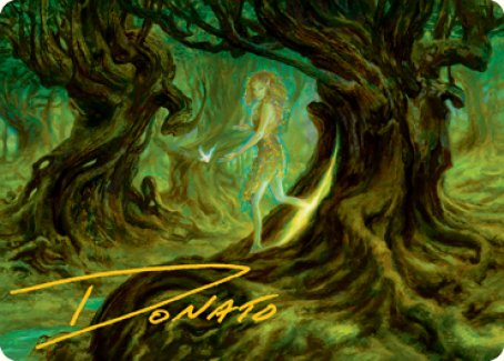 Neverwinter Dryad Art Card (Gold-Stamped Signature) [Dungeons & Dragons: Adventures in the Forgotten Realms Art Series] | Exor Games Summserside