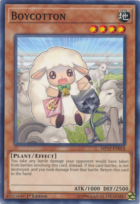 Boycotton [MP19-EN018] Common | Exor Games Summserside