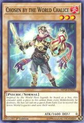 Chosen by the World Chalice [MP18-EN045] Common | Exor Games Summserside