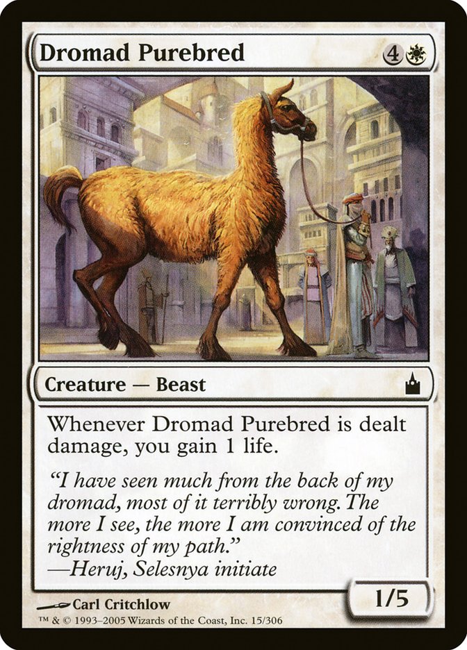 Dromad Purebred [Ravnica: City of Guilds] | Exor Games Summserside