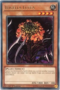 Ibicella Lutea [IGAS-EN027] Rare | Exor Games Summserside