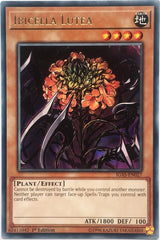 Ibicella Lutea [IGAS-EN027] Rare | Exor Games Summserside