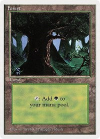 Forest (C) [Summer Magic] | Exor Games Summserside