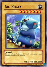 Big Koala [DR2-EN004] Common | Exor Games Summserside