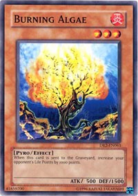 Burning Algae [DR2-EN063] Common | Exor Games Summserside