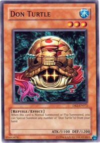 Don Turtle [DR2-EN072] Common | Exor Games Summserside