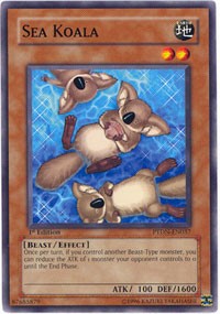 Sea Koala [PTDN-EN037] Common | Exor Games Summserside