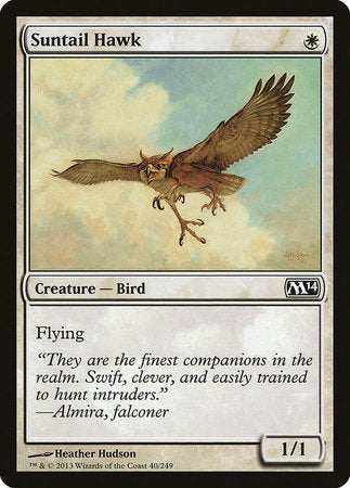 Suntail Hawk [Magic 2014] | Exor Games Summserside