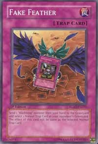 Fake Feather [RGBT-EN070] Common | Exor Games Summserside