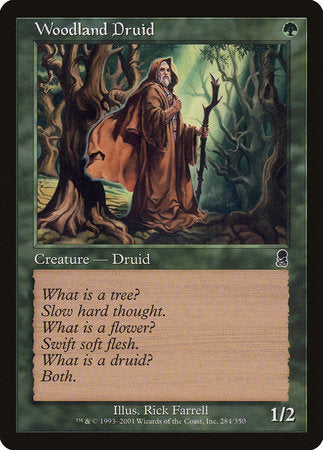 Woodland Druid [Odyssey] | Exor Games Summserside