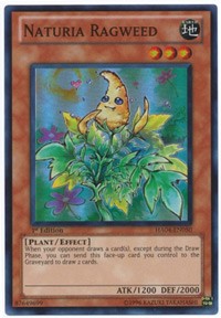 Naturia Ragweed [HA04-EN050] Super Rare | Exor Games Summserside