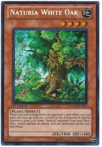 Naturia White Oak [HA04-EN051] Secret Rare | Exor Games Summserside