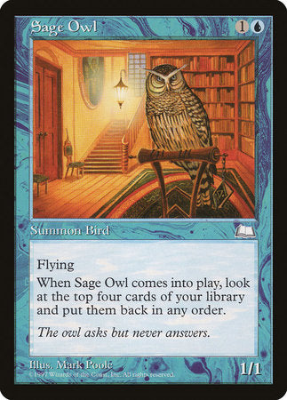 Sage Owl [Weatherlight] | Exor Games Summserside
