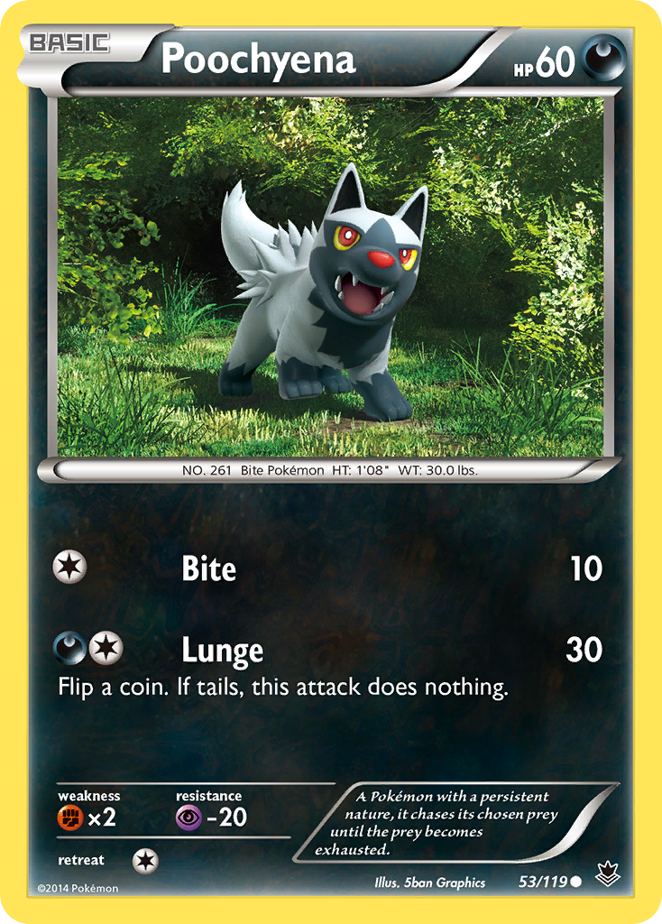 Poochyena (53/119) [XY: Phantom Forces] | Exor Games Summserside