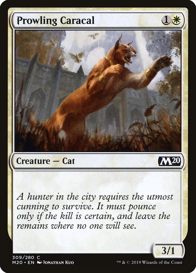 Prowling Caracal [Core Set 2020] | Exor Games Summserside